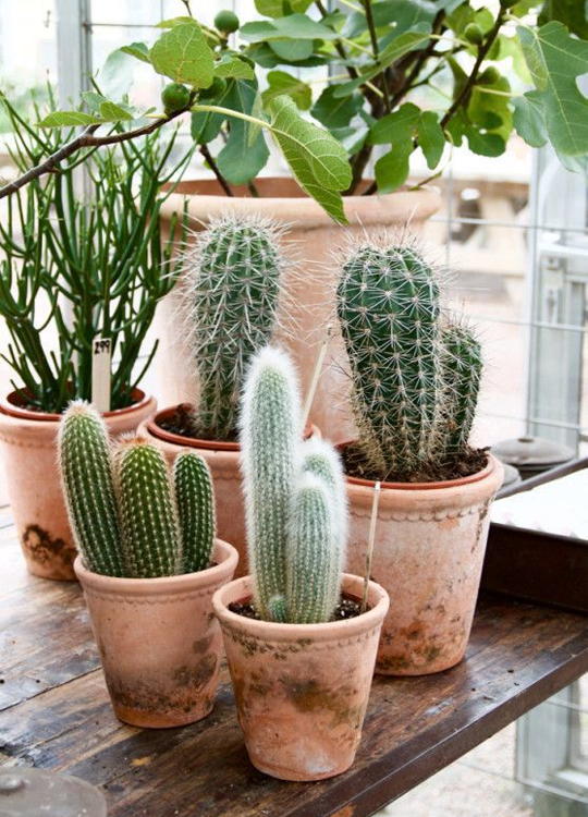 Afbeelding 10 - Pinterest favorieten - April Afbeelding 10 - Pinterest favorieten - April